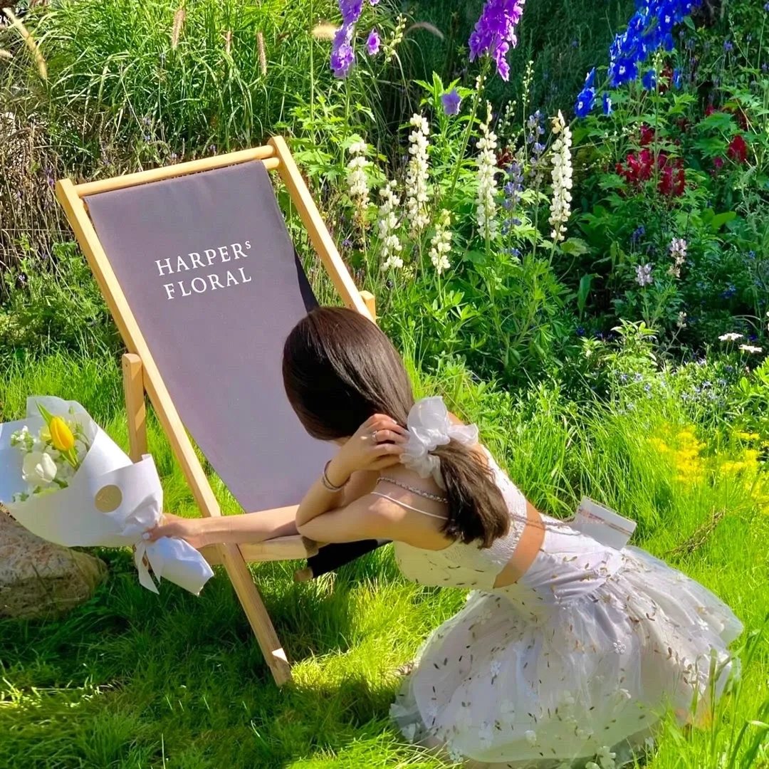 彼得谢勒的生与死